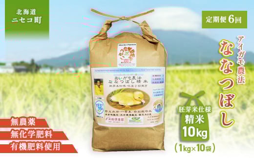 《数量限定先行受付！令和7年産米》【6回定期便】合鴨農法ななつぼし 【胚芽米仕様精米】【有機肥料/無農薬・無化学肥料･備蓄用】令和7年度米 正味10kg(1kg×10袋) 水田環境鑑定・米食味鑑定士鑑定米【Yesclean農法認定品】【3115302】
