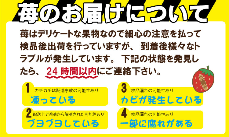 【先行予約】令和9年2月上旬頃出荷開始 いちごさん 1箱セット ふるかわ農園  農家直送品 果物 くだもの フルーツ 人気 ランキング 高評価 苺 イチゴ 佐賀 送料無料