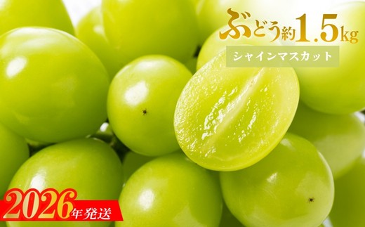 No.1710シャインマスカット 約1.5kg (2～3房)【2026年発送】