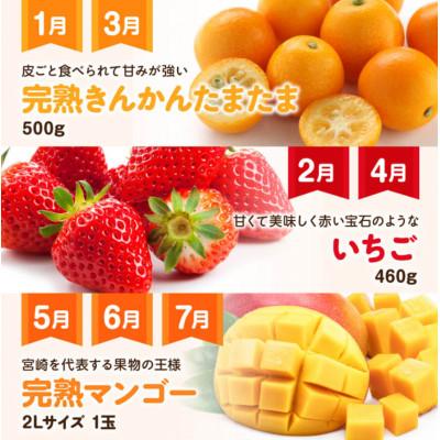ふるさと納税 川南町 【発送月固定定期便】フルーツ満喫定期便(川南町)全9回 |  | 02
