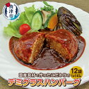 【ふるさと納税】 ハンバーグ 牛肉 豚肉 国産 デミグラスソース 煮込みハンバーグ おかず 湯煎 140g×12袋 焼津 a10-966