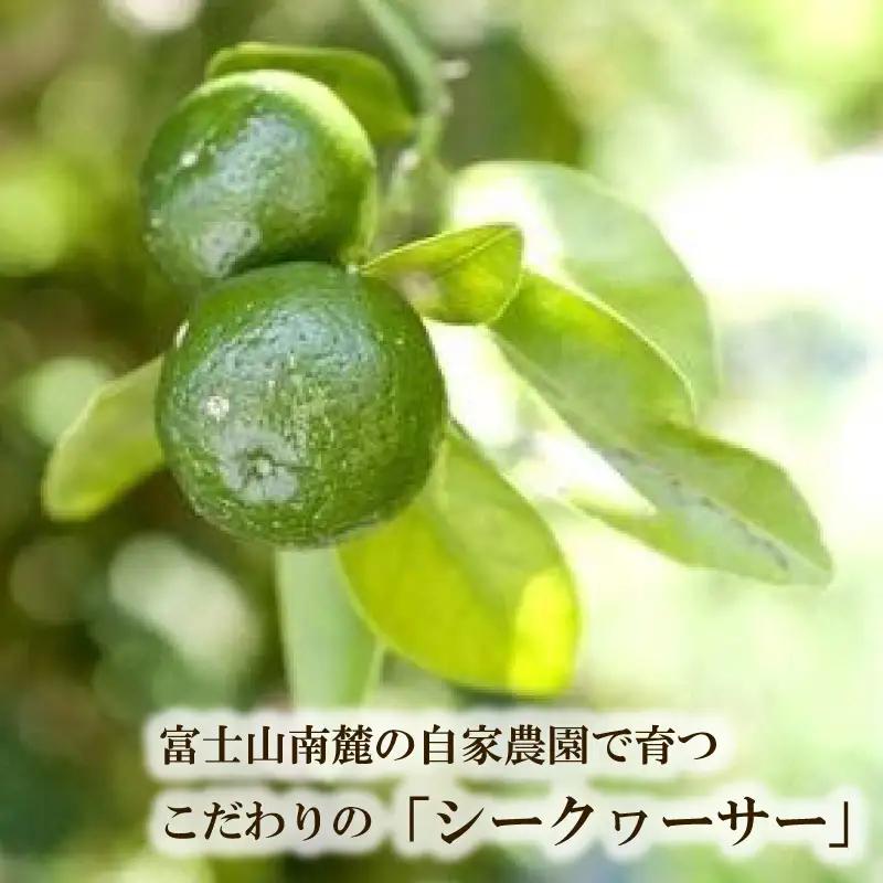 シークヮーサージャム3瓶セット シークワーサージャム 柑橘 
