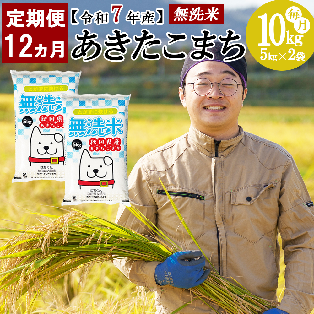 【定期便12ヶ月】秋田県産米「あきたこまち（無洗米）」 10kg（5kg×2袋）　1680P9201