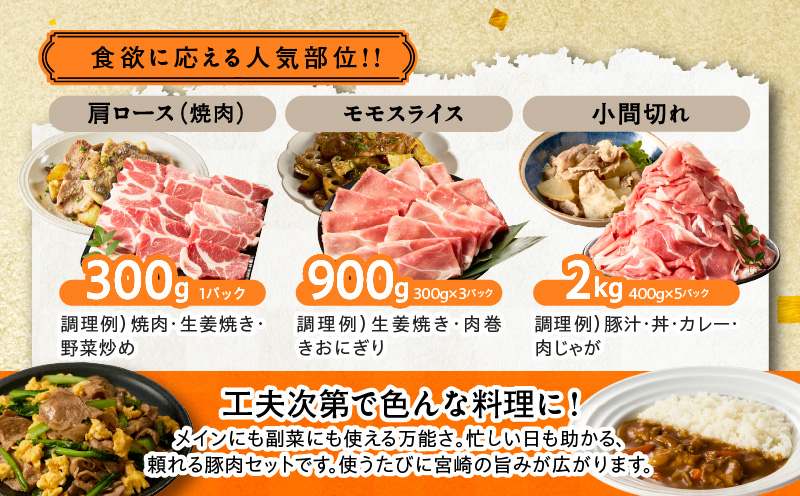 宮崎県産豚肉6種盛り合わせセット(合計4.1kg)_T030-204【肉 豚 豚肉 おかず 国産 人気 ギフト 食品 お肉 焼き肉 BBQ お土産 贈り物 送料無料 プレゼント】