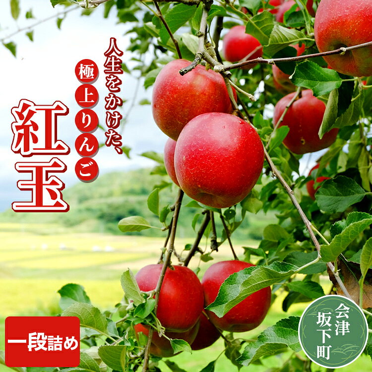 【ふるさと納税】17-F [予約開始！] りんご（紅玉）5kg（一段詰め）荒明果樹園 人生をかけた、極上りんご（紅玉）| りんご リンゴ 林檎 果物 くだもの フルーツ 福島県 会津坂下町 ※2026年10月～発送