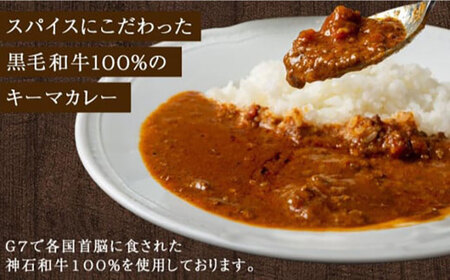 秘密の黒毛和牛キーマカレー5袋【冷凍 カレー レストラン キーマ 辛口 食品 加工食品 人気 おすすめ 広島県 福山市】