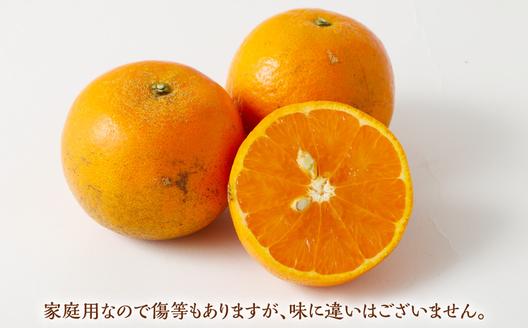 林果樹園 徳之島産 タンカン【ご家庭用】混合サイズ 5kg 