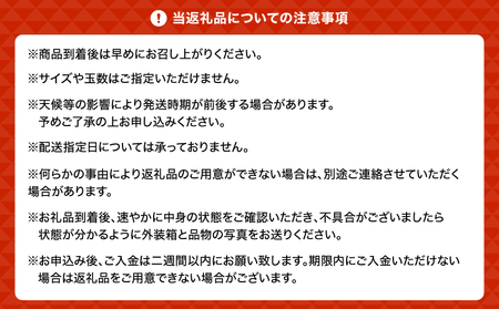 【先行予約】りのかレモン 3kg　【2026年2月上旬から5月上旬発送予定】