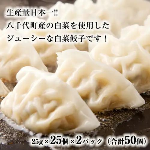 餃子 ローズポーク焼売40個 白菜餃子50個 セット 冷凍 餃子 餃子 餃子 餃子 餃子 餃子 餃子 餃子