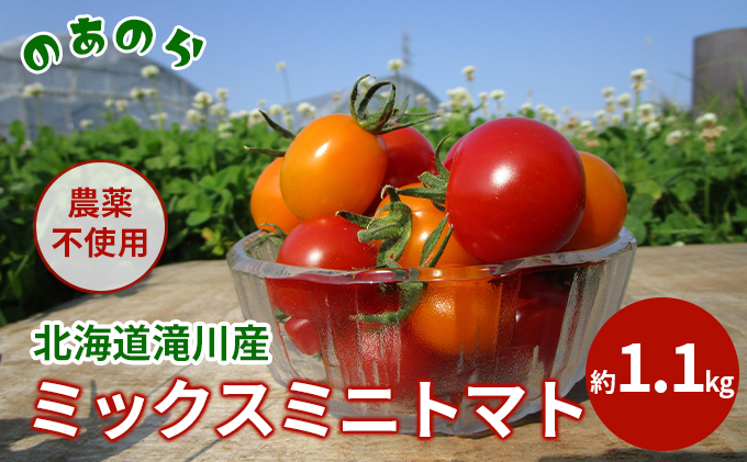 
【栽培期間中農薬不使用】北海道滝川市産ミックスミニトマト 約1.1kg
