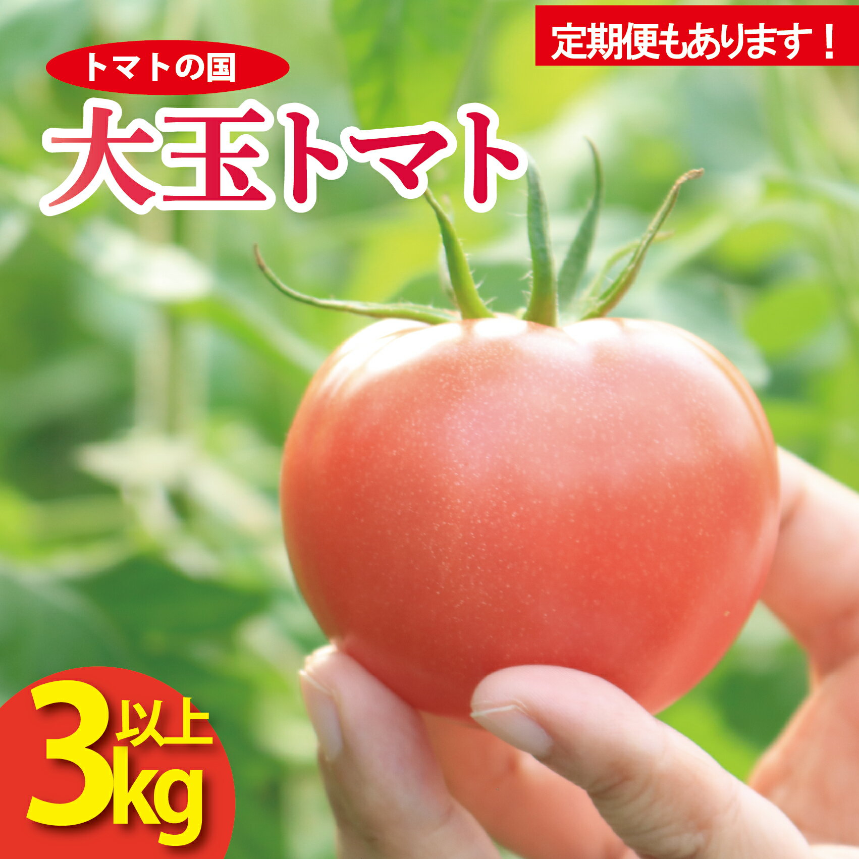 【ふるさと納税】 トマト 大玉 3kg 選べる 単品 定期便 以上 トマトの国 サラダ 野菜 やさい トマト 薄皮 完熟 高糖度 果物 スイーツ ジュース パスタ スパゲティー ソース サラダ ドレッシング 鍋 サンドイッチ 贈答 ギフト お取り寄せ グルメ 送料無料 徳島県 阿波市