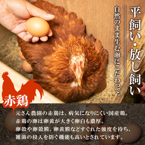 ＜訳あり・規格外＞ 平飼い赤鶏のたまご (計54個) 元さん農園 卵 玉子 卵かけご飯 玉子焼き 平飼い 鶏 鶏卵 養鶏場直送 新鮮 大分県 佐伯市 【GE008】【 (株)海九】