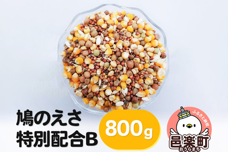 鳩のえさ 特別配合B 800g×1袋 サイトウ・コーポレーション 飼料