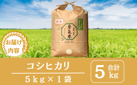 コシヒカリ 5kg 米 お米 有機堆肥栽培 コシヒカリ