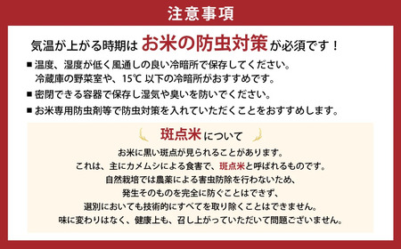 【3ヶ月定期便】令和7年産 計30kg 10kg (5kg×2) ×3回 9月開始 特別栽培米 循環型農業で作った にじのきらめき 特別栽培 先行 先行予約 精米 白米 30kg 10kg 5kg 米