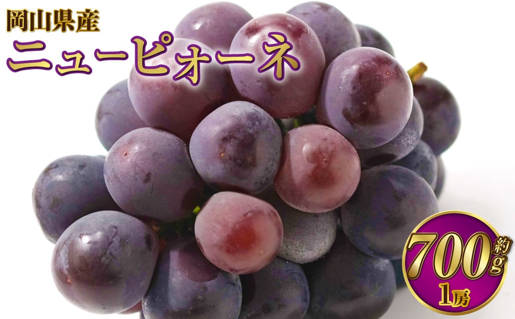 
            岡山県産 ニューピオーネ 約700g（1房） 【2025年6月下旬～7月下旬発送予定】 ピオーネ ぶどう 葡萄 ブドウ 種なし
          