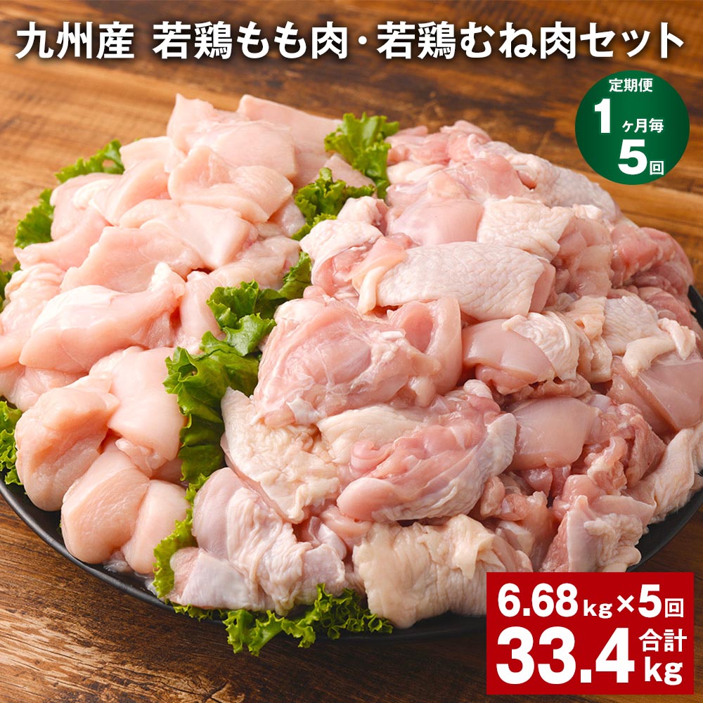 【ふるさと納税】【定期便】【1ヶ月毎5回】九州産 若鶏もも肉（310g×8袋）・若鶏むね肉（600g×7袋）セット 計33.4kg（6.68kg×5回） 鶏肉 お肉 モモ肉 ムネ肉 2種類 小分け 冷凍 九州産 国産 熊本県 菊池市 送料無料《お申し込みの翌月から出荷》