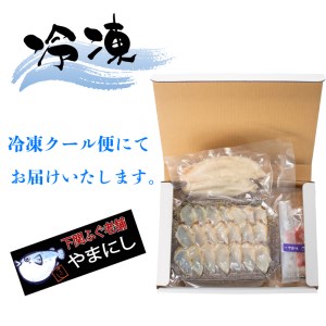 ふぐ たたき 刺身 一汐干し セット 冷凍 海鮮 おつまみ 刺し身 フグフグ AU