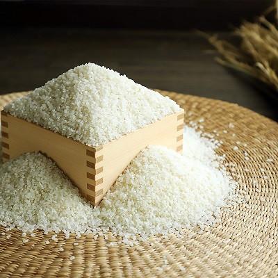 ふるさと納税 京丹波町 《 予約受付 》 こしひかり 京丹波町産 10kg 令和8年度産米 |  | 01