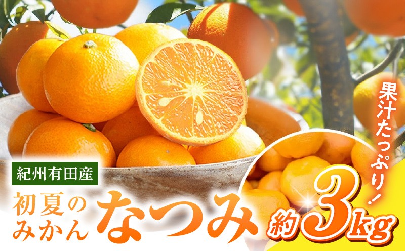 
            G7071_【2026年先行予約】初夏のみかん なつみ 3kg
          