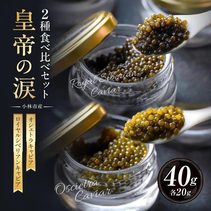 キャビア 皇帝の涙 2種食べ比べセット 40g 国産 キャビア