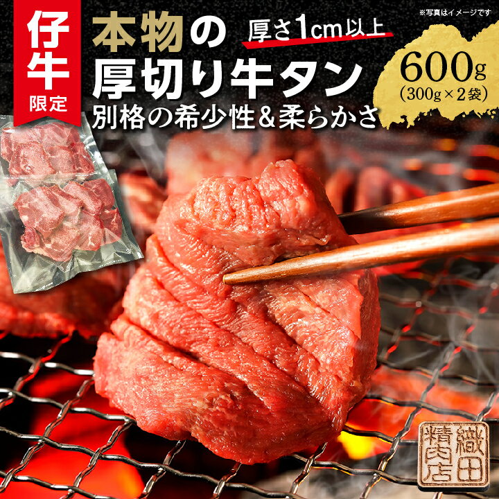 【ふるさと納税】牛タン 厚切り牛タン ステーキ 塩味 600g 小分け 300g×2パック | 厚切り牛タンステーキ塩味 600g (300g×2) 肉 焼肉 牛肉 牛たん 牛タン塩 牛たん塩 天日塩 冷凍 BBQ バーベキュー アウトドア 厚切り タン 焼くだけ 簡単調理 真空冷凍 _b-445
