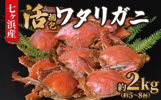 《先行予約》【6月下旬発送】 七ヶ浜産 ワタリガニ 約 2kg (5〜8杯) 活 梱包 ｜ 七ヶ浜町 漁協 かに カニ 蟹 渡り蟹 ボイル パスタ ガザミ 国産 天然 茹でガニ 新鮮 ｜ jf-wg02-R7