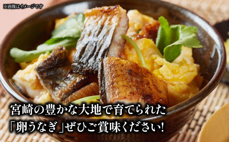 「卵うなぎ」備長炭手焼カット蒲焼 10袋(計1000g) うなぎ 蒲焼 国産