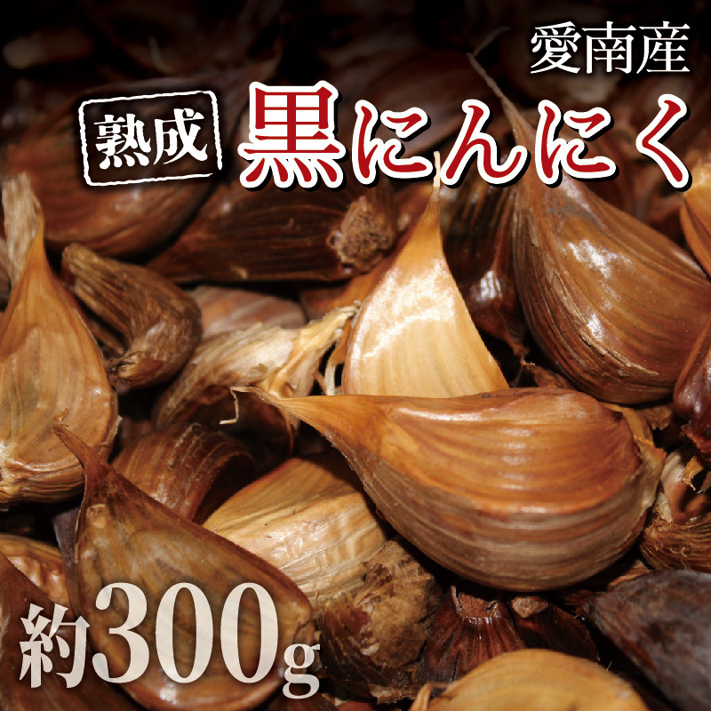
                  石川ファームの愛南町産熟成黒にんにく 300g 発送期間：2025年6月20日～12月30日
                