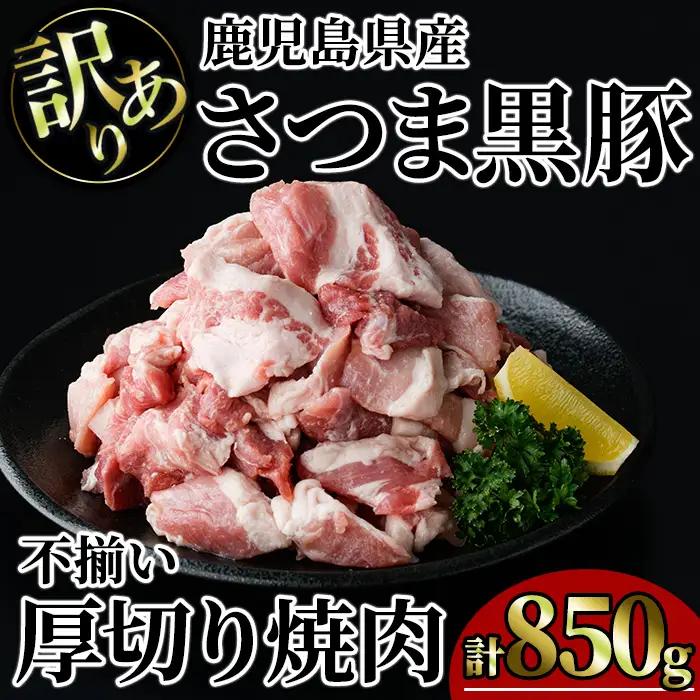 【訳あり】鹿児島県産 さつま 黒豚 不揃い 厚切り 焼肉 (計850g・850g×1P) 鹿児島県産 豚肉 黒豚 【KNOT】 A1166