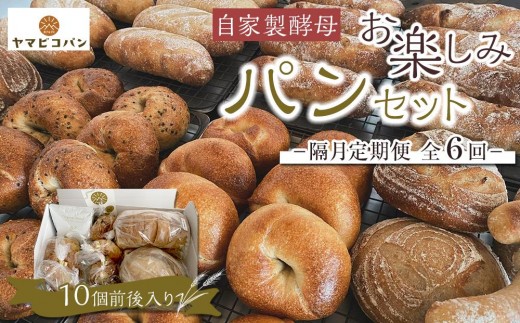 自家製酵母おたのしみパンセット80サイズ≪隔月定期便全６回≫｜パン 自家製酵母 天然酵母 手作り 定期便 国産小麦 人気 おすすめ ギフト プレゼント 送料無料 長野県 大町市 ふるさと納税