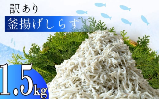 訳あり 釜揚げ しらす 1.5g 冷凍 小分け 500g × 3パック 駿河湾 の恵み シラス サイズ不揃い