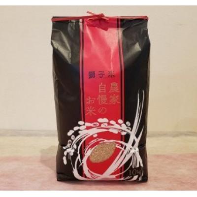 ふるさと納税 石岡市 獅子米 もち米(マンゲツモチ) 玄米10kg【令和7年産】