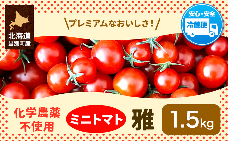 
[0.9-267]　北海道当別町産化学農薬不使用ミニトマト：雅1.5kg
