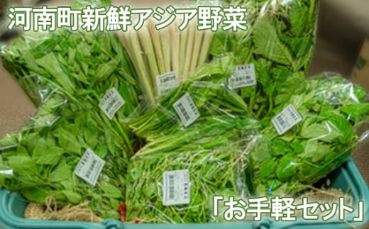 河南町新鮮アジア野菜「お手軽セット」 ／ 唐辛子 パクチー バジル 大阪府 No.332