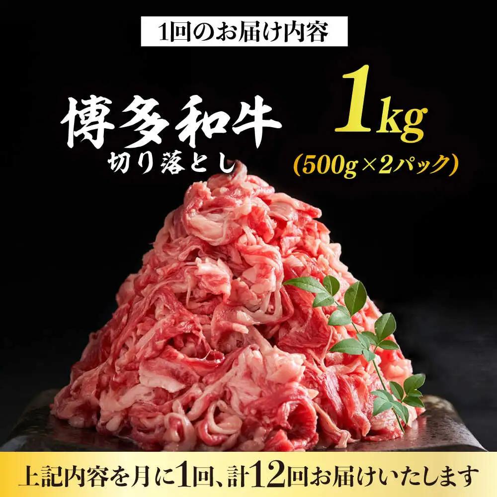 切り落し 【全12回定期便】 国産和牛 1kg [ABBP029] 切り落し