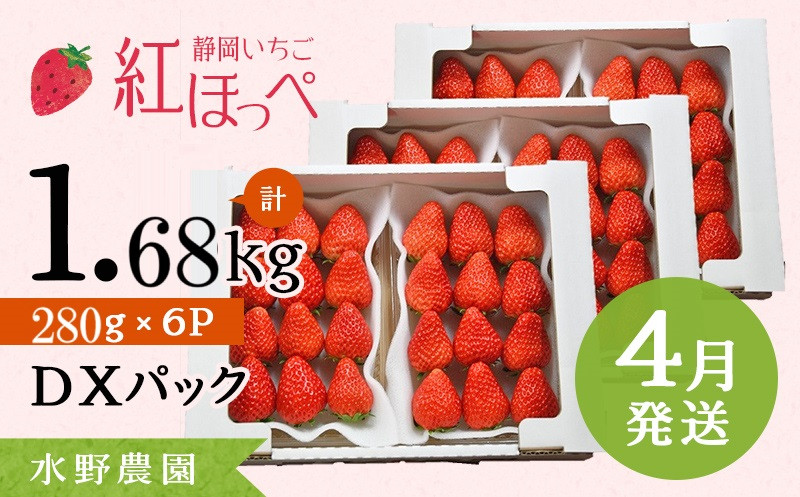 
            ６４３２　4月発送 掛川産完熟いちご 紅ほっぺ ２８０g×6P 1.68ｋｇ (1ｐ：5～15粒入)　受付順に順次発送 水野農園
          