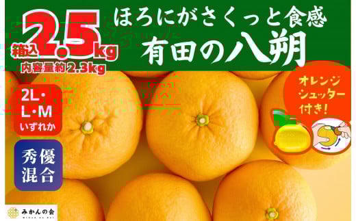 
            八朔 (はっさく)  玉ぞろい 箱込 2.5kg(内容量約 2.3kg) 2L L Mサイズのいずれか 秀品 優品 混合和歌山県産  産地直送【おまけ付き】【みかんの会】
          