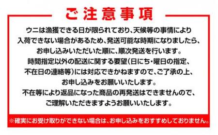 天然 エゾバフンうに （中）塩水うに 100g（100g×1枚）2025年1月中旬から発送ミョウバン不使用 北海道産 知床羅臼産