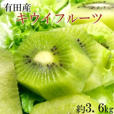 ふるさと納税 湯浅町 【1月より順次発送】有田でとれた完熟キウイフルーツ約3.6kg(M〜3Lサイズおまかせ)