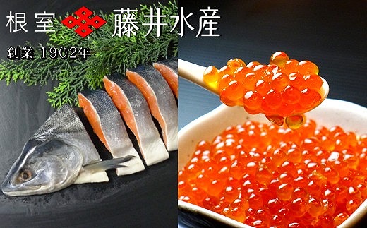 B-42107 紅鮭姿切り1.2kg×1P・いくら醤油漬け80g×2P