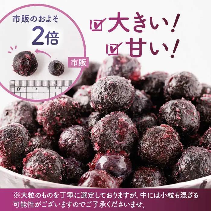 【12回定期便】大粒 冷凍ブルーベリー 約2000g（約500g×4pc）【すみれファーム】果物 フルーツ くだもの 大粒 小分け 熊本県産ブルーベリー [ZEP018]