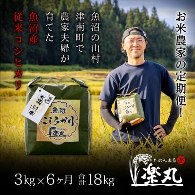 ふるさと納税 津南町 【毎月定期便】魚沼の山村津南町で米農家夫婦が育てた魚沼産従来コシヒカリ3kg全6回