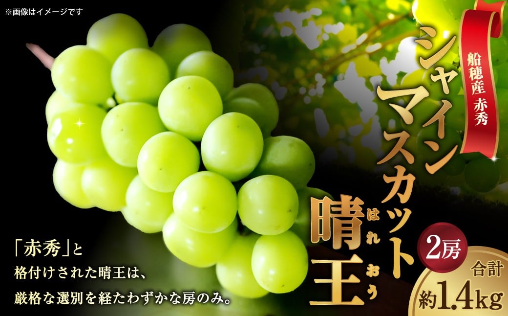 
                  [HS]ぶどう 最高級品シャイン マスカット 晴王 2房 〈合計約1.4kg〉【2026年9月上旬～10月下旬発送】【ブドウ 葡萄  岡山県産 船穂産 フルーツ 果物 ギフト】
                