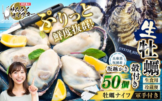 坂越かき 殻付き 50個（牡蠣ナイフ・軍手付き）【2026年1月上旬～2026年5月下旬頃発送予定】／ 牡蠣 かき カキ オイスター サムライオイスター 生牡蠣 魚介 貝 海産物 生食 ギフト 兵庫県 赤穂市