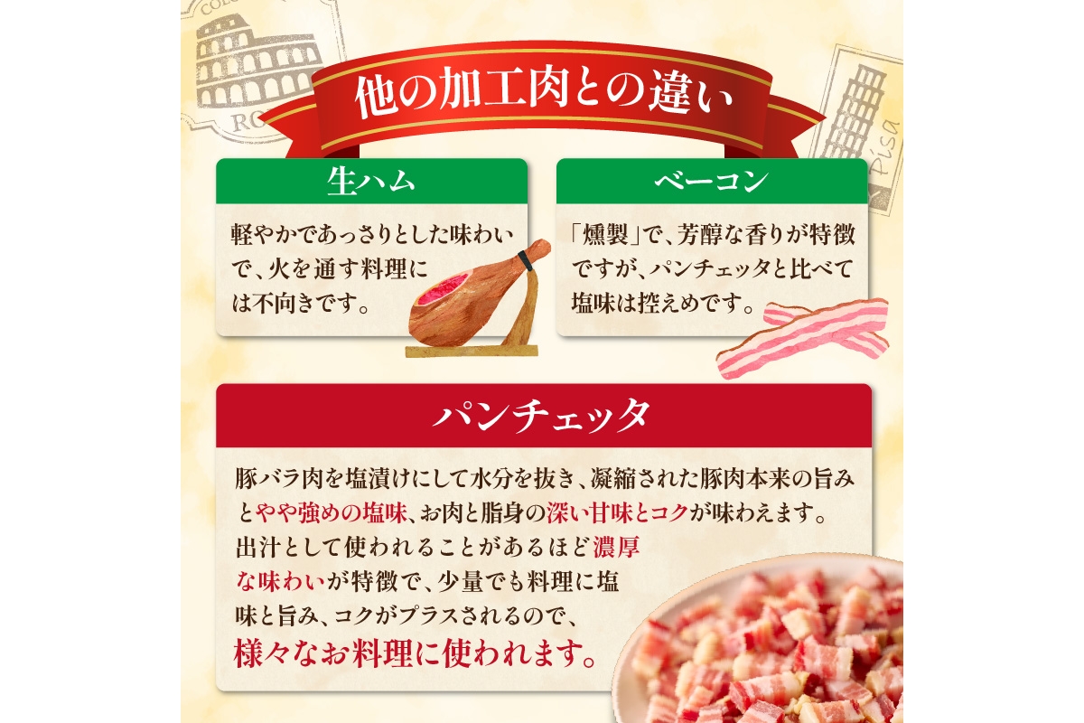 【定期便 隔月×3回】パンチェッタブロック（豚バラ肉の塩漬け）　約200g×2袋 ふるさと納税 豚肉 塩漬け ふるさと納税 ベーコン ふるさと納税 パンチェッタ 豚バラ 塩漬け スペイン料理