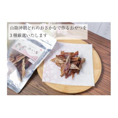 ふるさと納税 米子市 鳥取県米子市!山陰沖朝どれ鮮魚で作るわんことにゃんこのための贅沢3品詰め合わせ! |  | 01