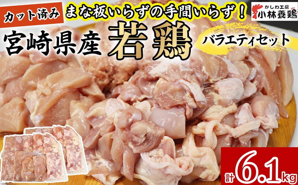 【カット済み】宮崎県産若鶏バラエティセット 計6.1kg 国産 鶏肉 若鶏 もも肉 モモ むね肉 ムネ 肩肉 ささみ ミンチ 小分け カット 冷凍