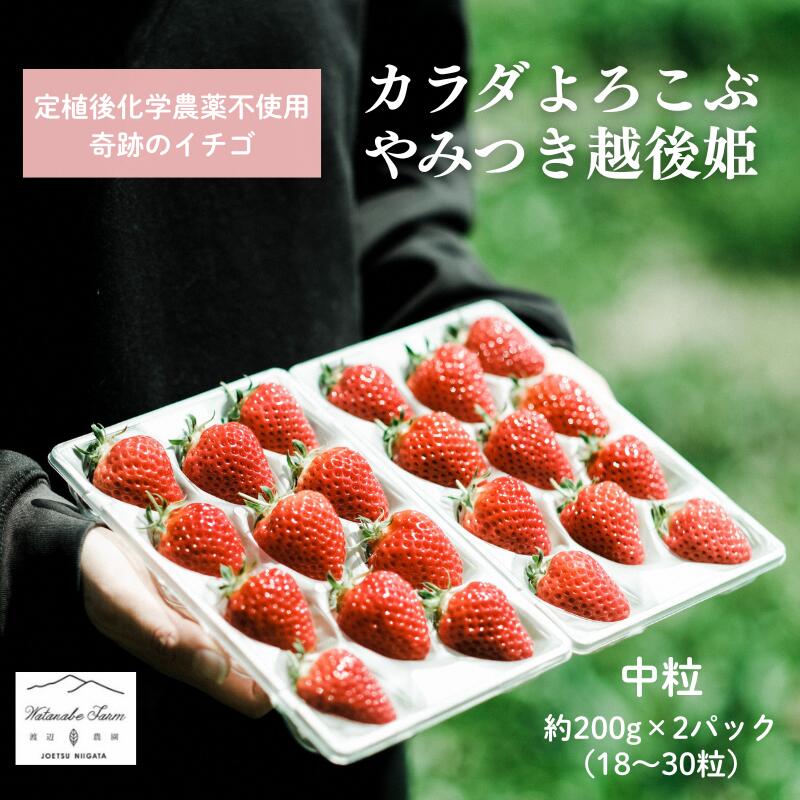 【ふるさと納税】【配送開始時期が選べる】いちご 中粒 カラダよろこぶ やみつき 越後姫 約200g×2パック (18～30粒入り) イチゴ 苺 上越市 新潟 　お届け：2026年2月上旬～2026年6月中旬（天候や青果物の生育・収穫状況によりお届け時期が前後する場合がございます。）
