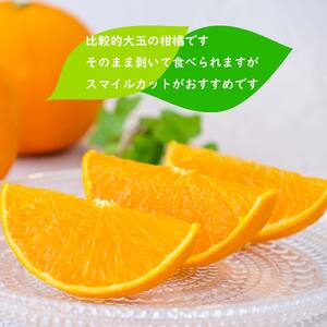 せとか 約 3kg (9~13玉) 【2027年3月上旬ごろから発送予定】 せとか みかん【SHM0111】